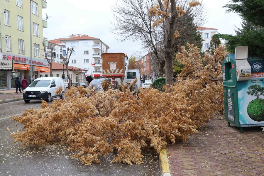 PARK VE BAHÇELERDE KIŞ HAZIRLIKLARI BAŞLADI 