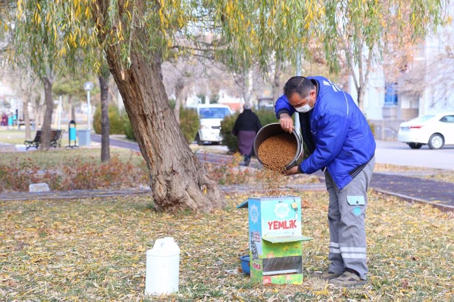 AKSARAY BELEDİYESİ SOKAK HAYVANLARINA SAHİP ÇIKIYOR