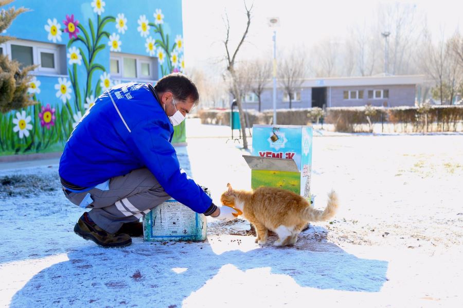 AKSARAY BELEDİYESİ SOKAK HAYVANLARINI UNUTMADI