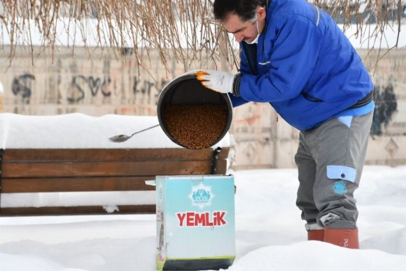 Aksaray’da sokak hayvanları besleniyor