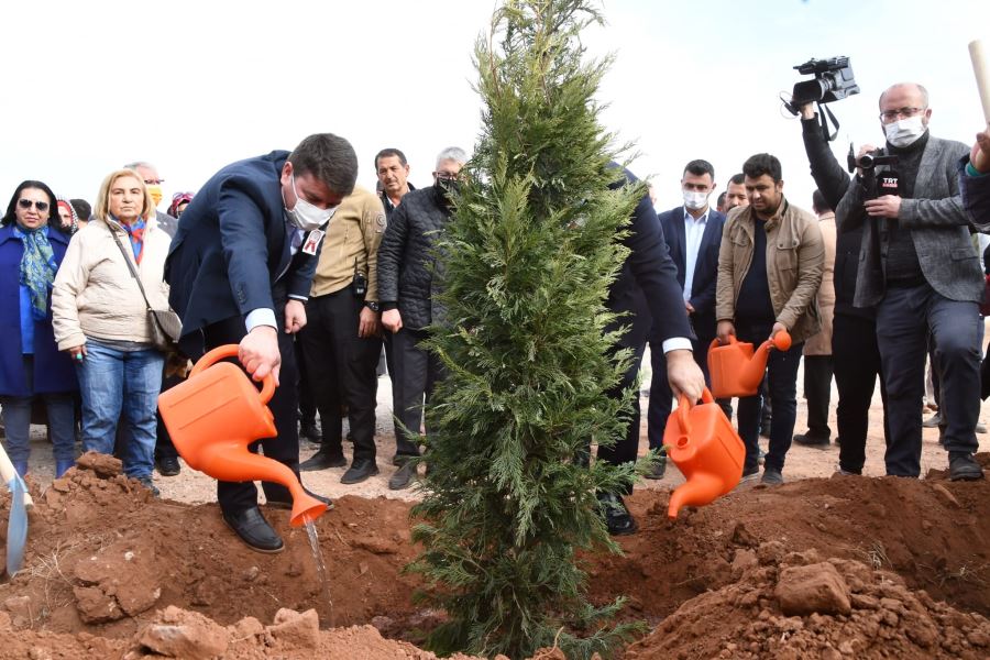 24 KASIM ÖĞRETMENLER GÜNÜ HATIRA ORMANINA BİNLERCE FİDAN DİKİMİ YAPILACAK