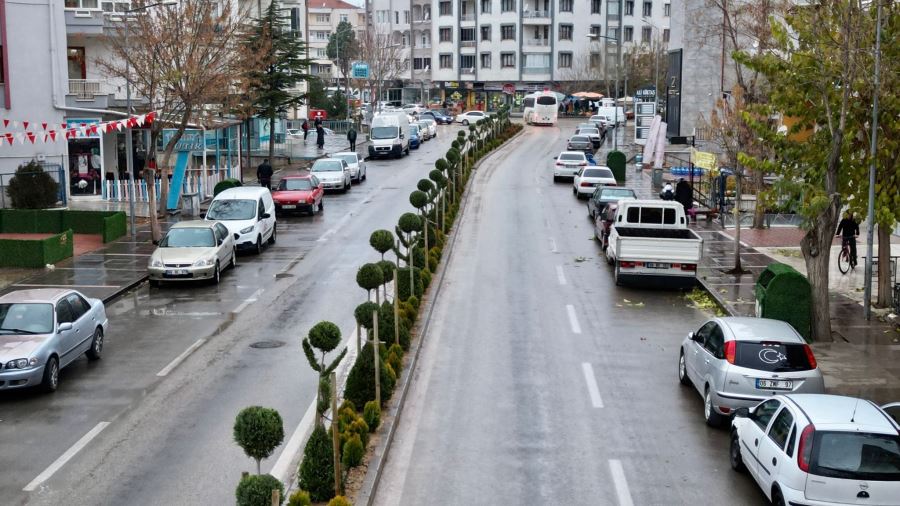 KURTULUŞ CADDESİ YEŞİLE BÜRÜNDÜ