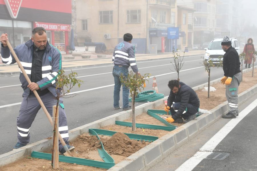 YENİLENEN CADDE VE ORTA REFÜJLER PEYZAJ VE SÜS BİTKİLERİ İLE DONATILIYOR