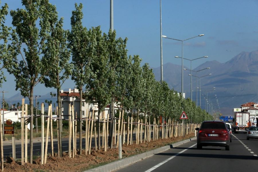 AKSARAY’DA YEŞİL ALAN VARLIĞIMIZ YÜZDE 20