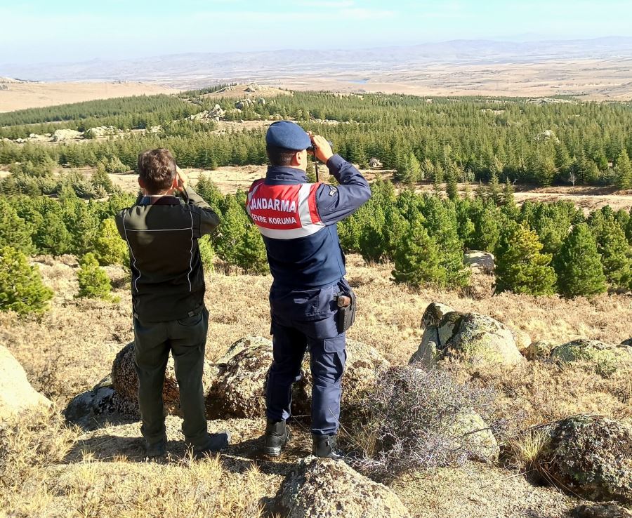 NESLİ TÜKENMEKTE OLAN YABAN HAYVANLARI VALİLİĞİN TİTİZ  ÇALIŞMALARIYLA KORUNUYOR