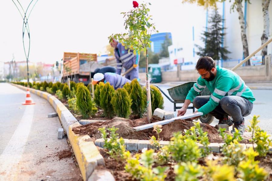 AKSARAY BELEDİYESİ PEYZAJ ÇALIŞMALARINA DEVAM EDİYOR