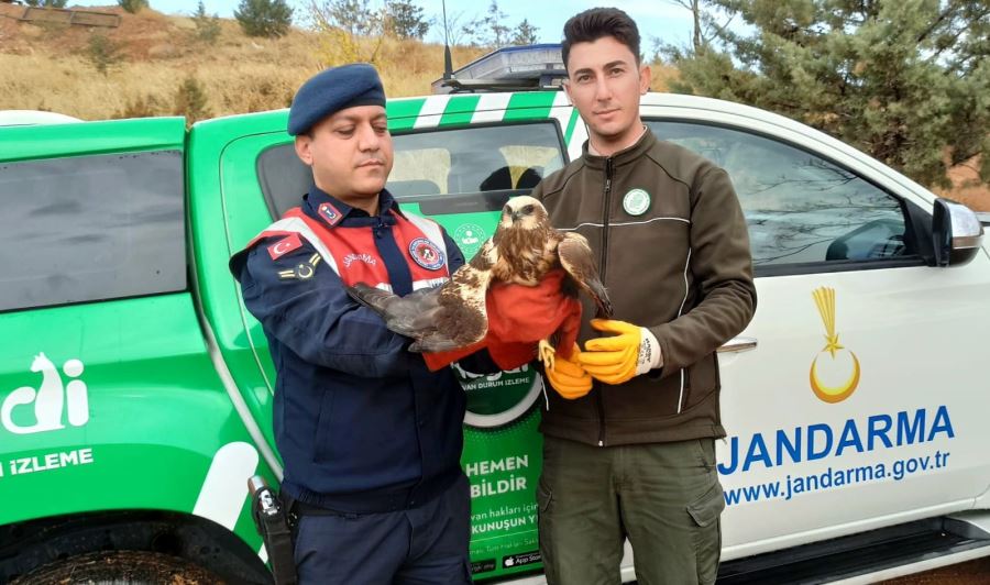 Çevre, Doğa ve Hayvanları Koruma Timi İş Başında