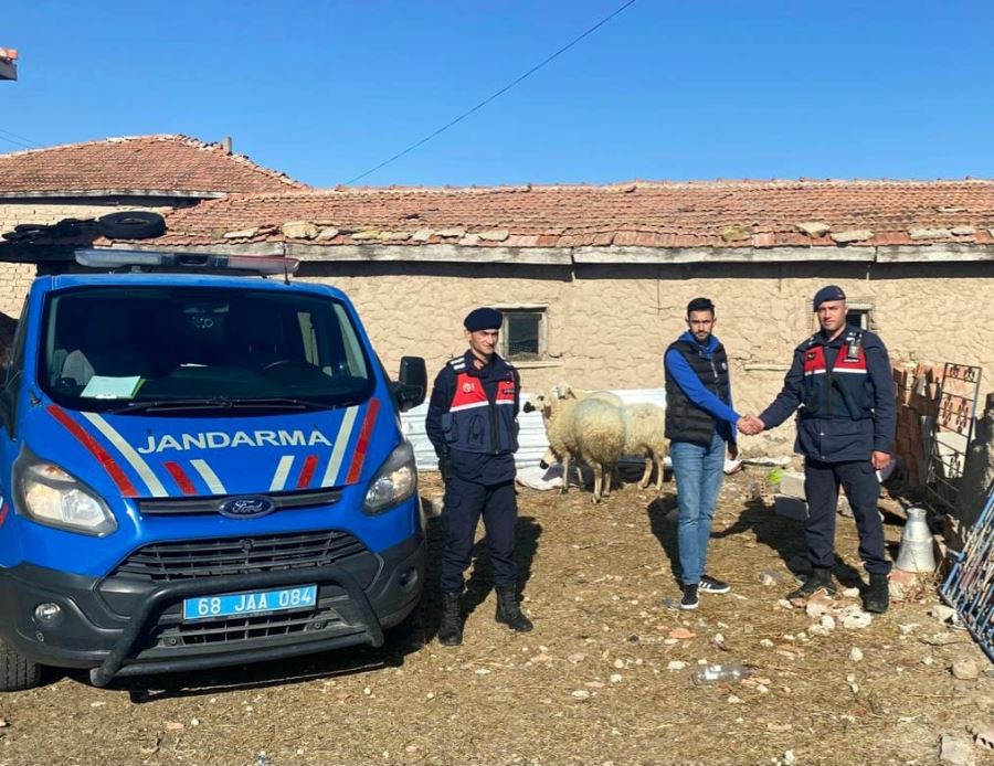 Kaybolan Koyunları İçin Jandarma Ekiplerine Başvurdu ve Kısa Sürede Hayvanlarına Kavuştu