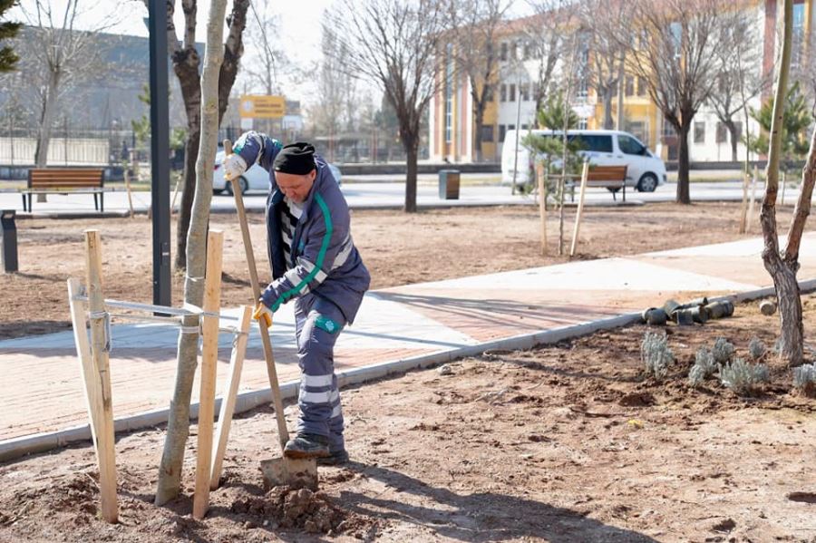 YENİDEN YEŞİL AKSARAY İÇİN HER GÜN AĞAÇ DİKİLİYOR