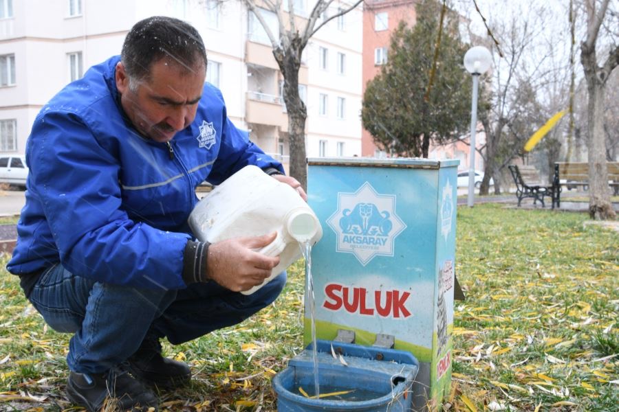 AKSARAY BELEDİYESİ SOĞUK KIŞ ŞARTLARINDA SOKAK HAYVANLARININ YANINDA