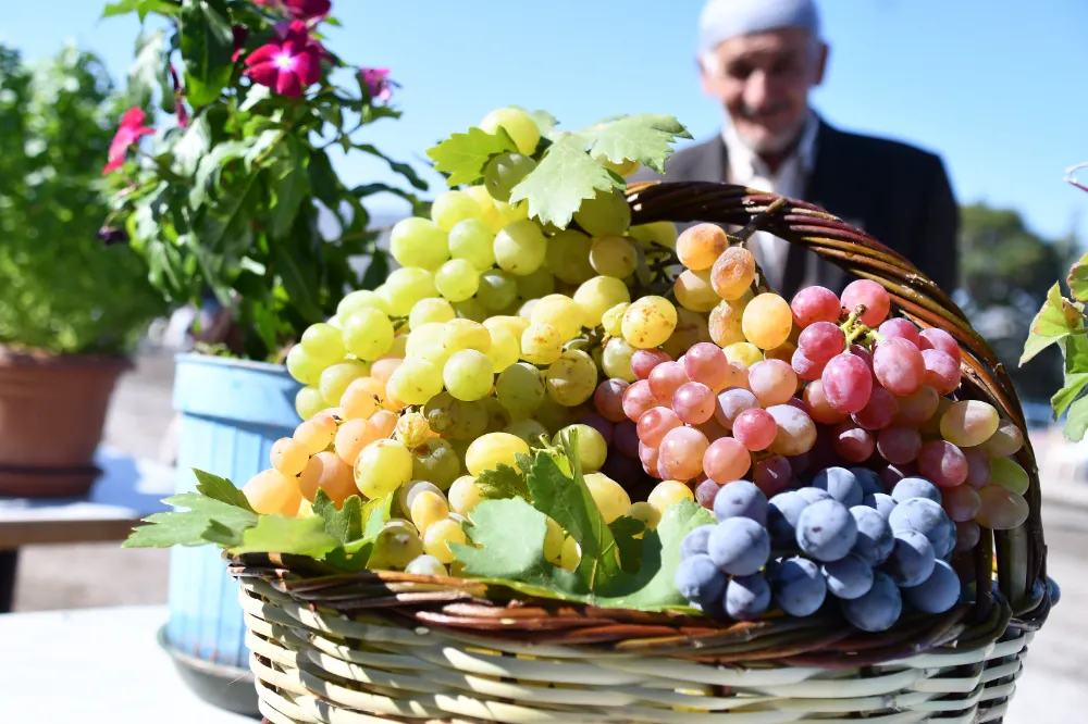 Aksaray 2. Geleneksel bağ bozumu ve pekmez festivaline hazırlanıyor