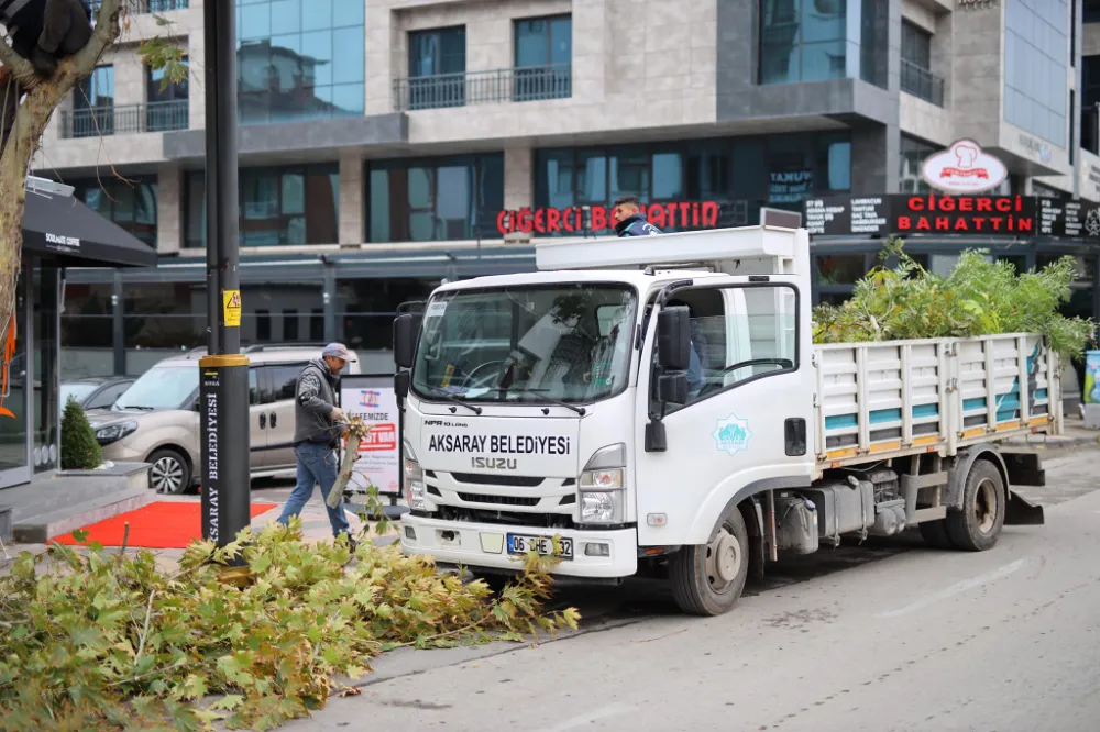 Belediyeden Kışlık Bakım