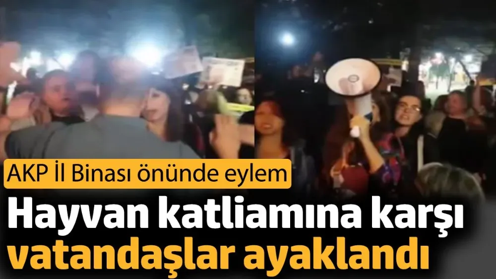 Hayvan katliamına karşı vatandaşlar ayaklandı