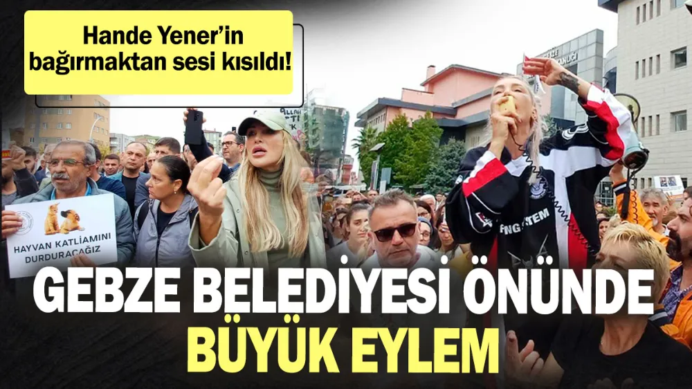 Gebze Belediyesi önünde hayvan katliamı için büyük eylem! 