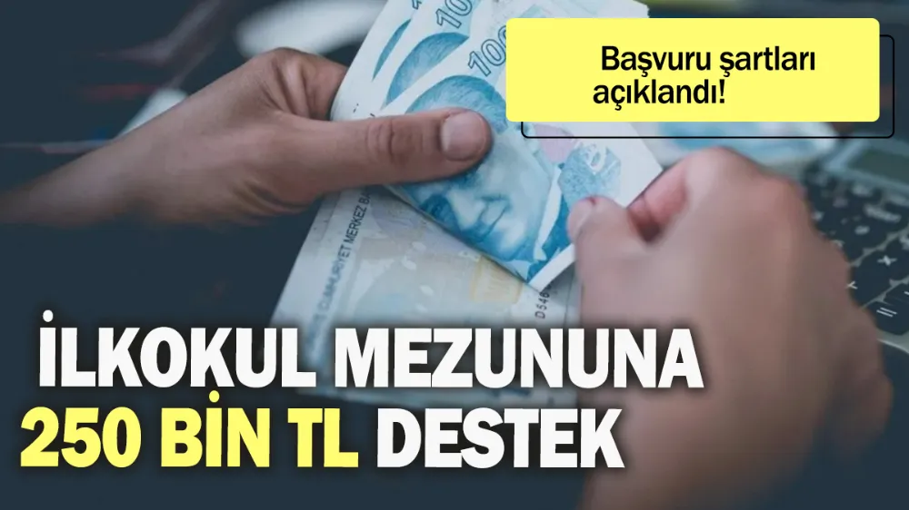 İlkokul mezununa 250 bin TL destek: Başvuru şartları açıklandı