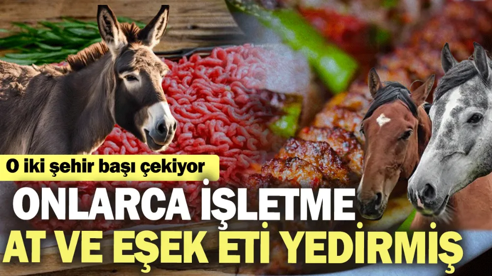 Onlarca işletme at ve eşek eti yedirmişler