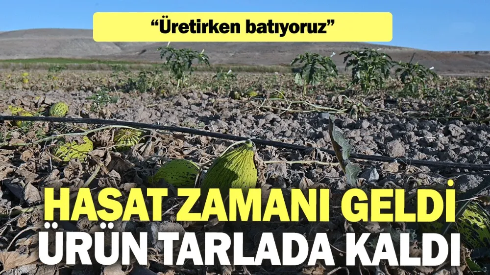 Üretirken batıyoruz