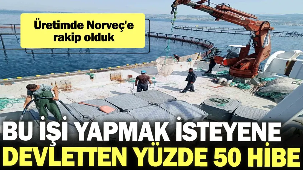 Bu işi yapmak isteyene devletten yüzde 50 hibe