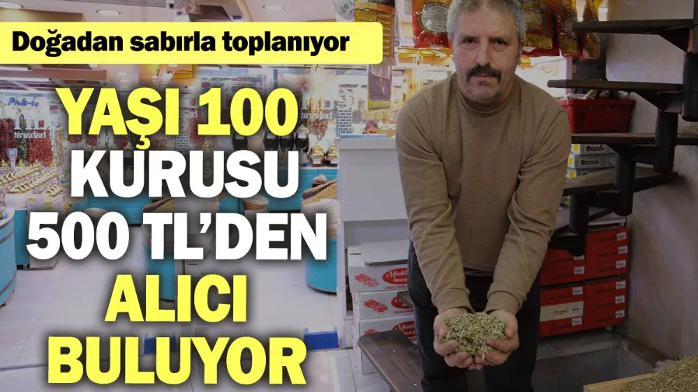 Yaşı 100, kurusu 500 TL’den alıcı buluyor