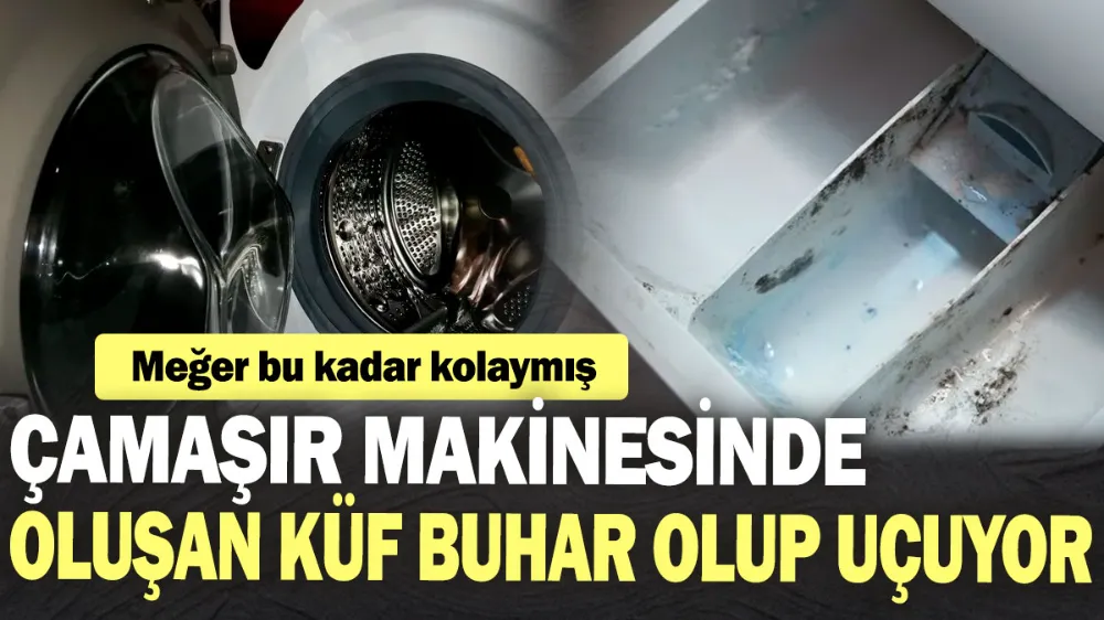 Çamaşır makinesi gözünde oluşan küf buhar olup uçuyor!