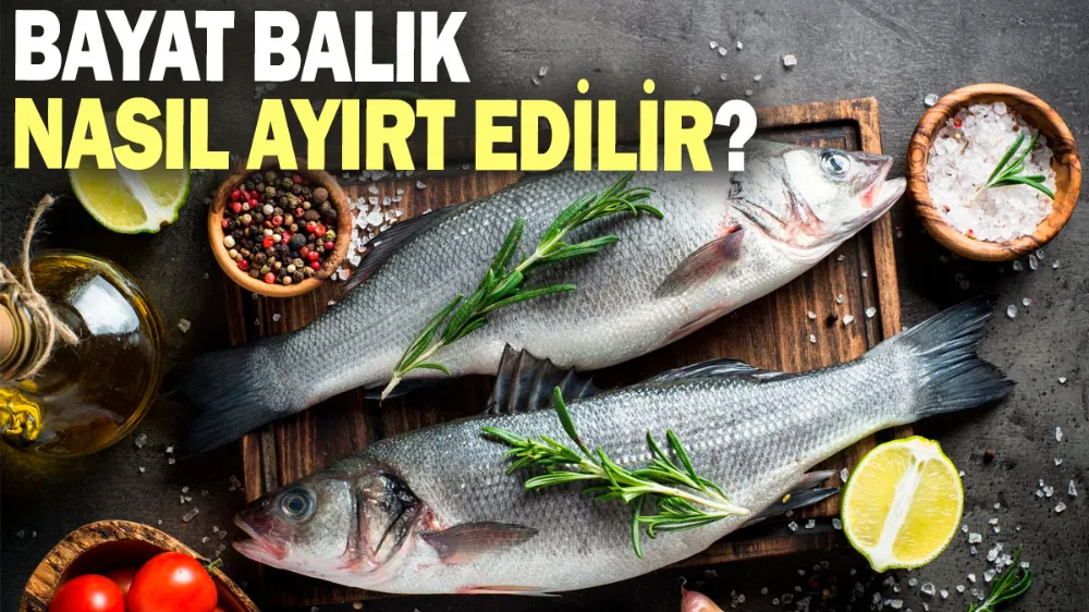 Bayat balık nasıl ayırt edilir?