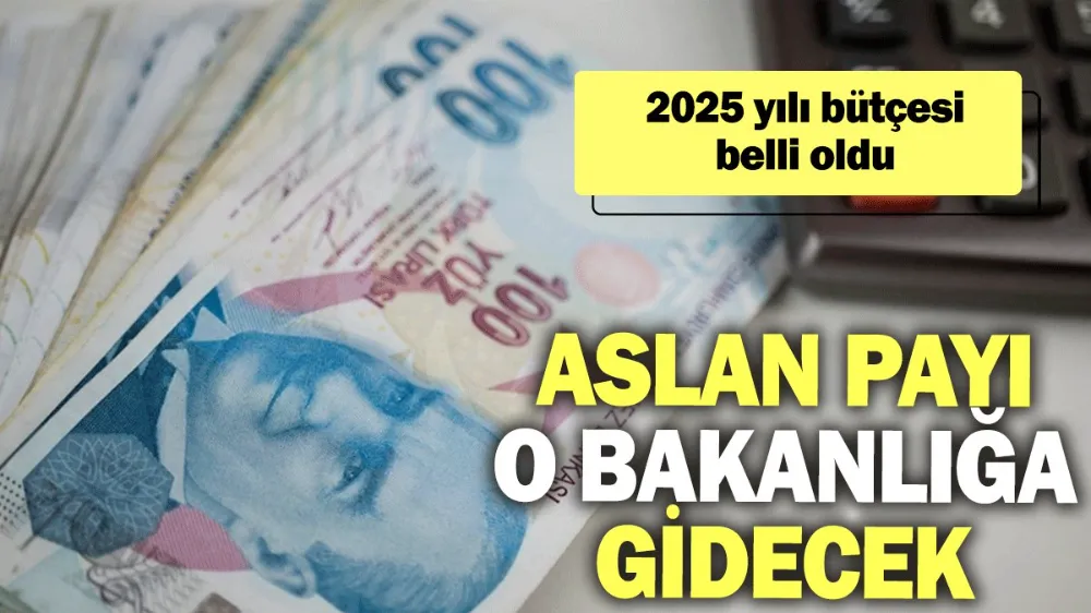 Aslan payı o bakanlığa gidecek