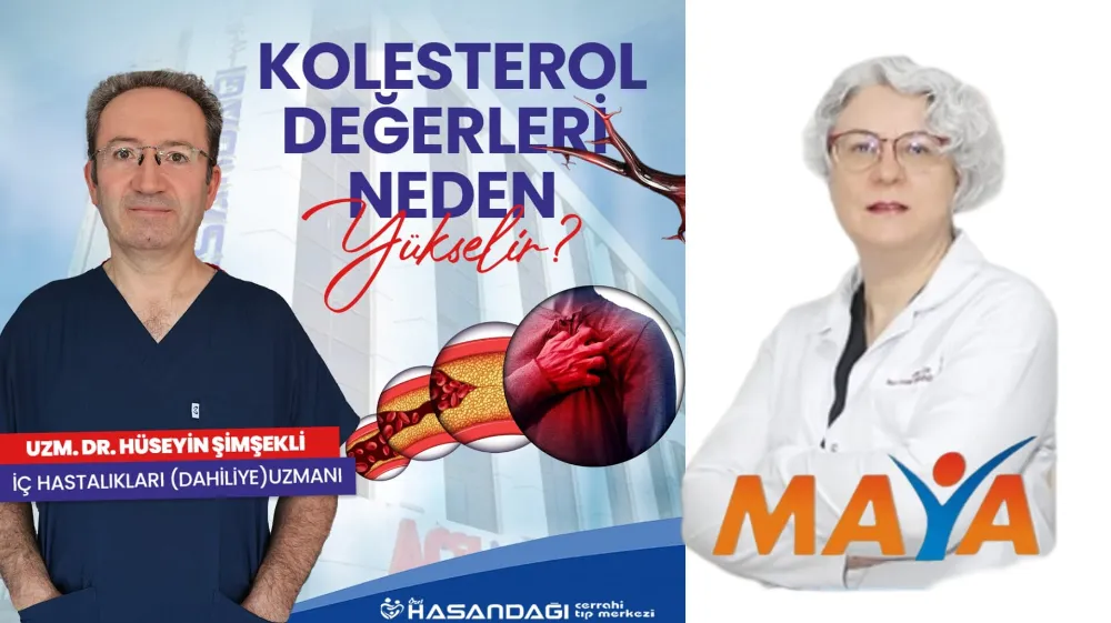 Kolesterol Değerleri Neden Yükselir ?