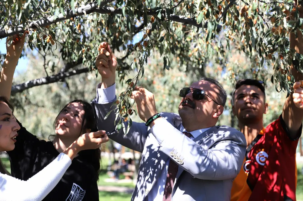 Aksaray Üniversitesi’nde (ASÜ) Öğrenci Toplulukları İğde Şenliği’nde Bir Araya Geldi