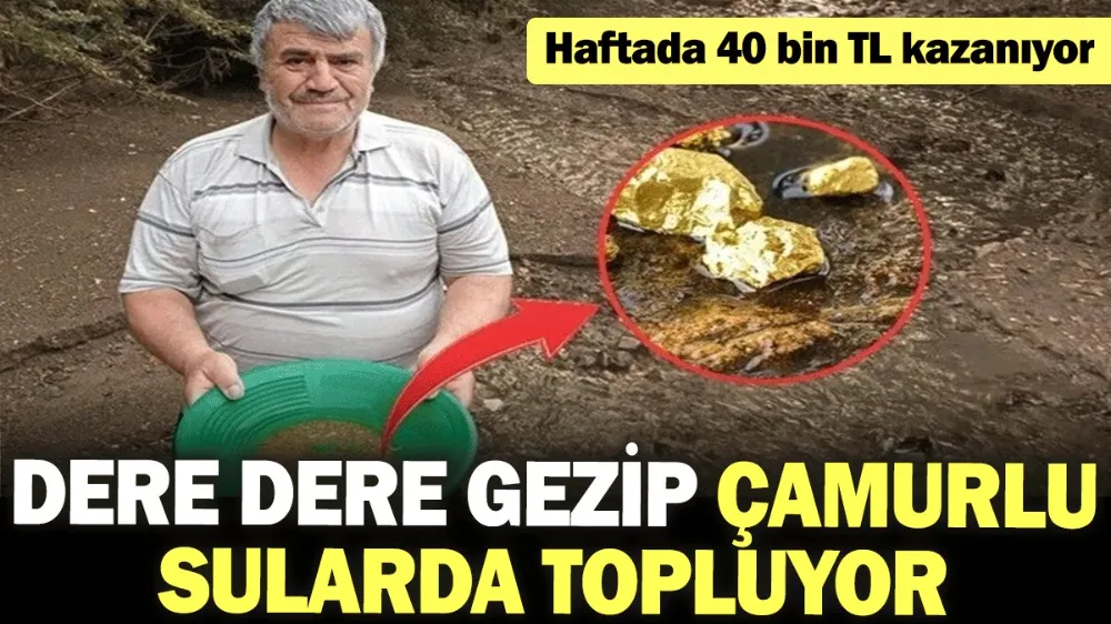 Dere dere gezip çamurlu sularda topluyor