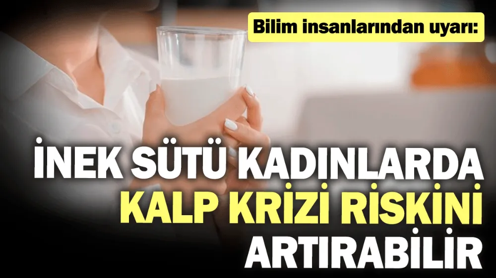 İnek sütü kadınlarda kalp krizi riskini artırabilir! 