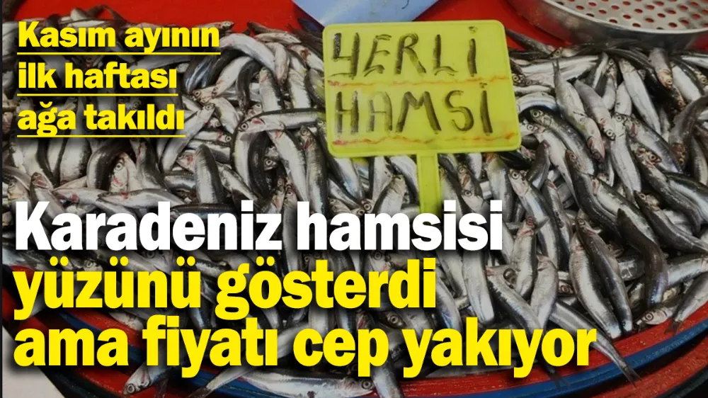 Karadeniz hamsisi yüzünü gösterdi ama fiyatlar cep yakıyor