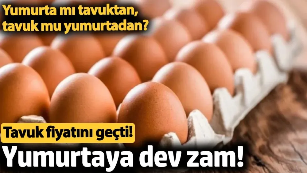 Yumurtaya dev zam geldi! Tavuk fiyatını geçti