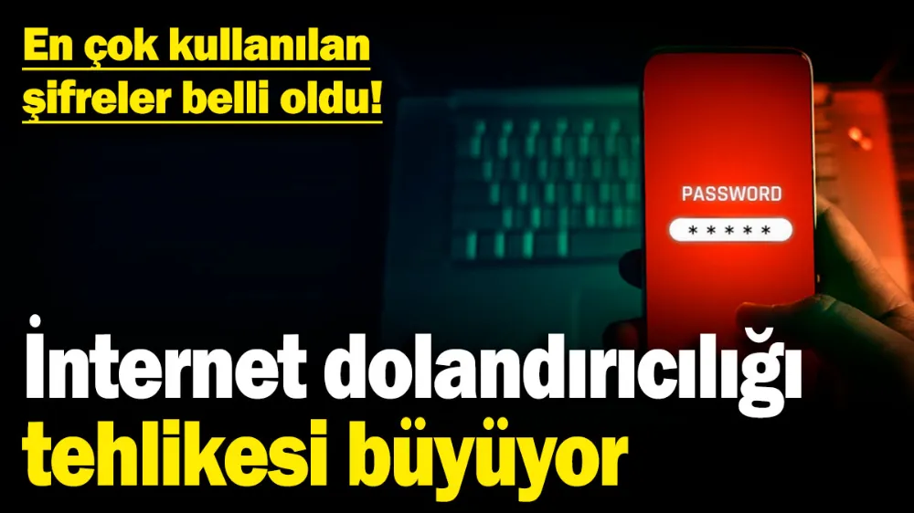 İnternet dolandırıcılığı tehlikesi büyüyor! 