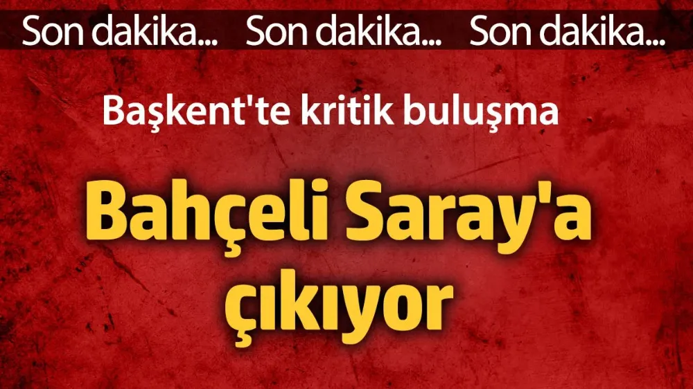 Erdoğan, Bahçeli