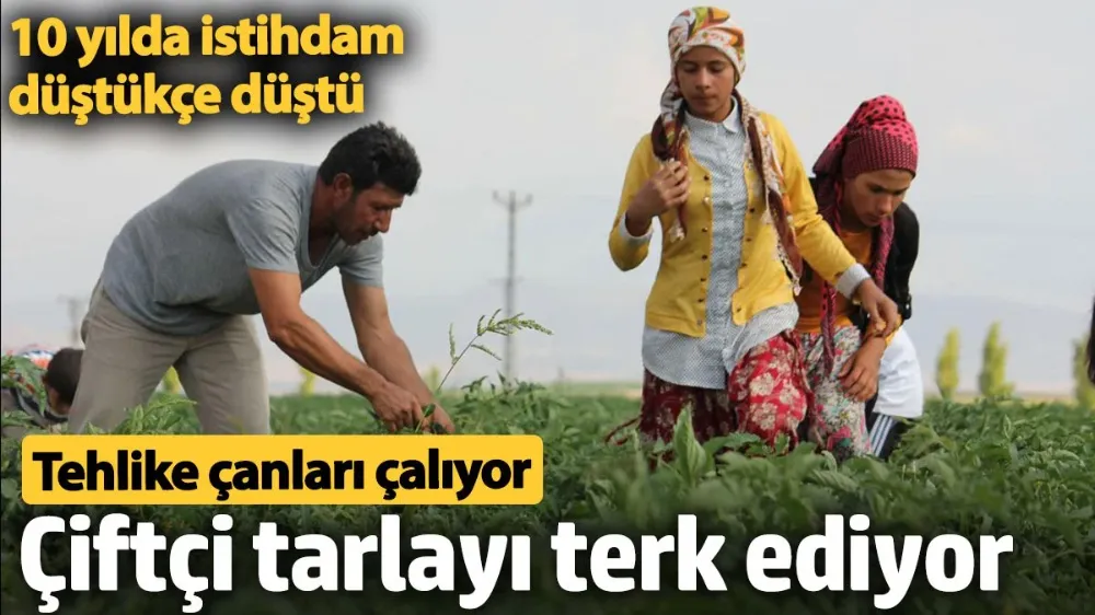 Çiftçi tarlayı terk ediyor istihdam düştükçe düştü. 