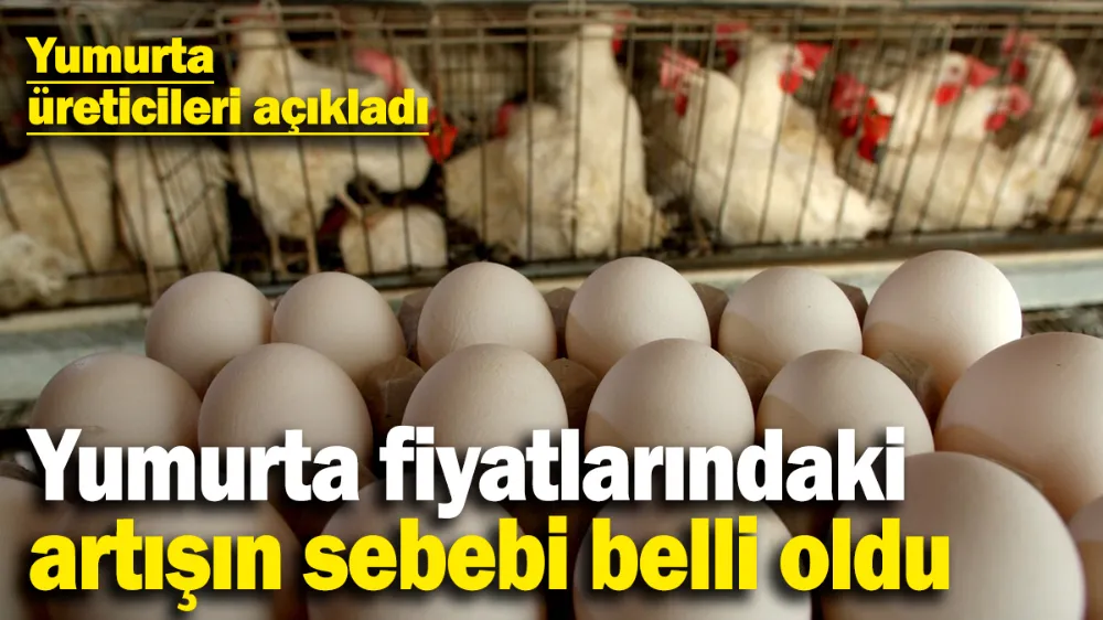 Yumurta fiyatlarındaki artışın sebebi belli oldu