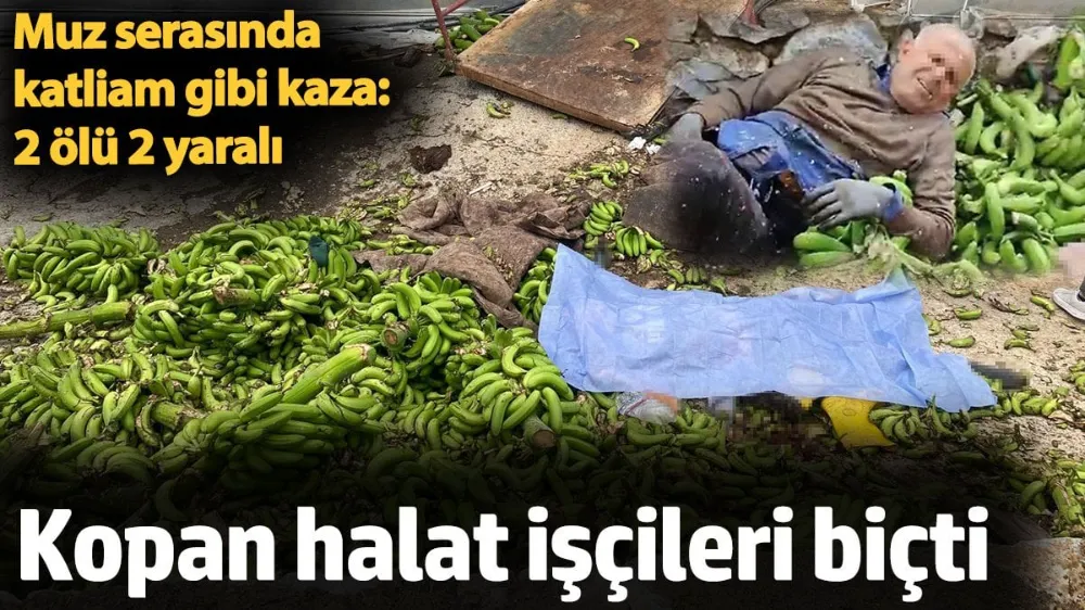 Muz serasında katliam gibi kaza: 2 ölü 2 yaralı