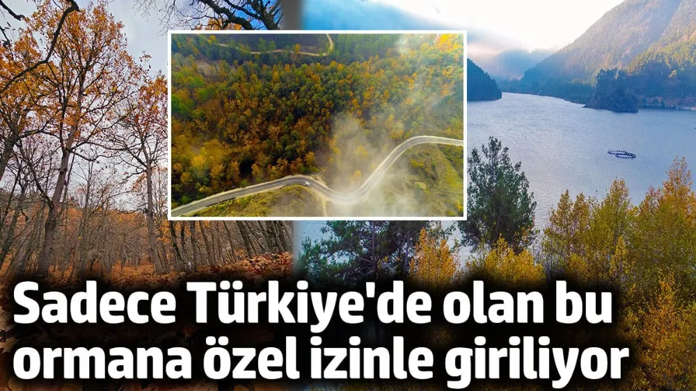 Dünyada sadece Türkiye