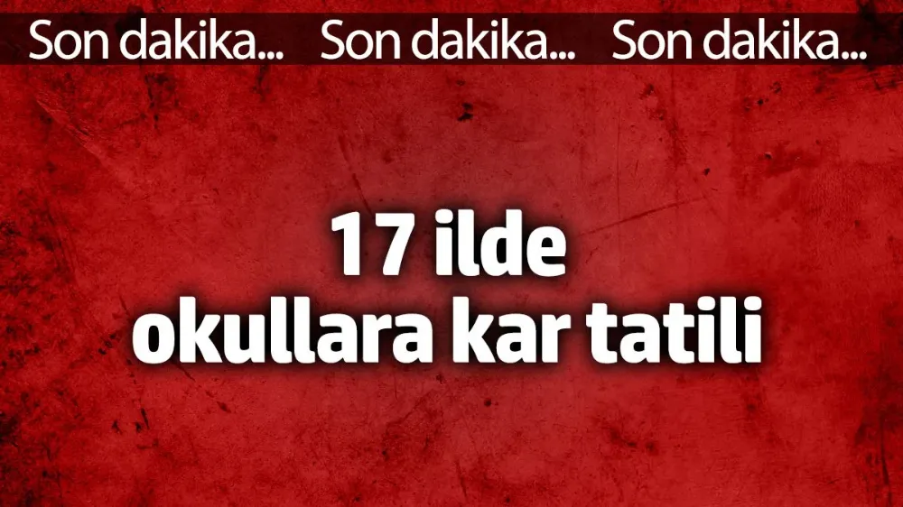 17 ilde okullara kar tatili