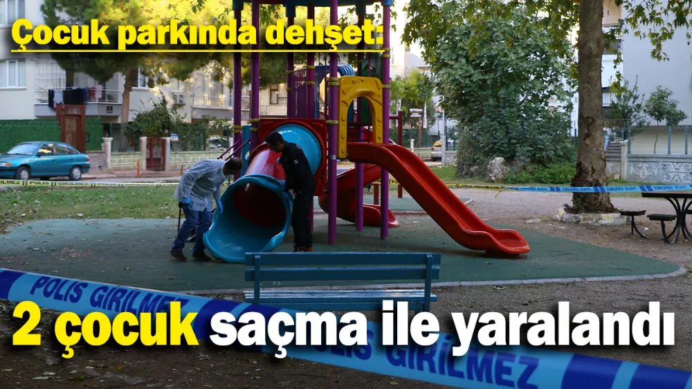 Çocuk parkında dehşet: 2 çocuk saçma ile yaralandı