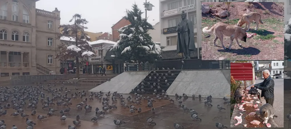 Aksaray’ın Hayvansever Kahramanı: Metin Başpınar İş Başında!