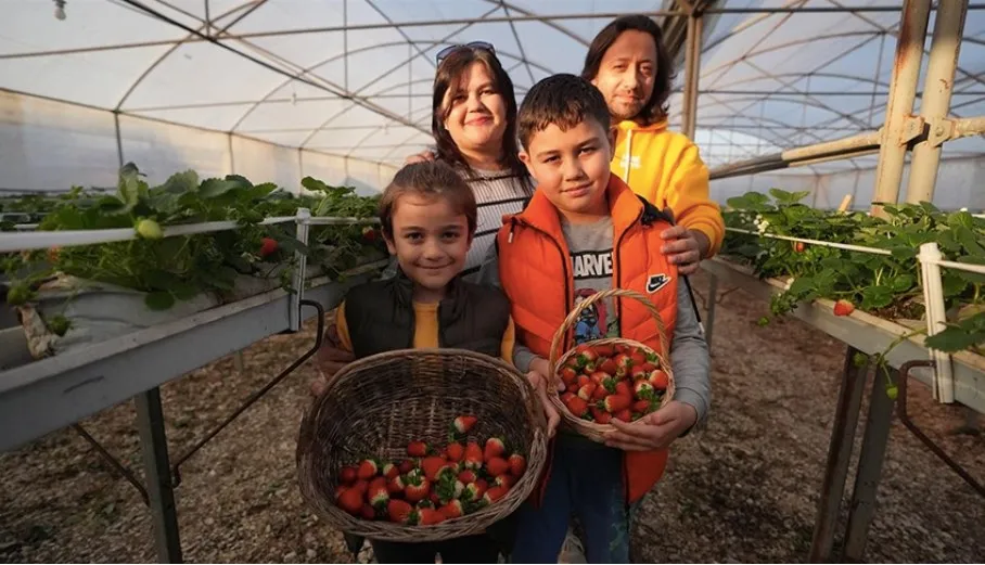 Düzceli Sarı Ailesinden İlham Veren Çilek Hikayesi