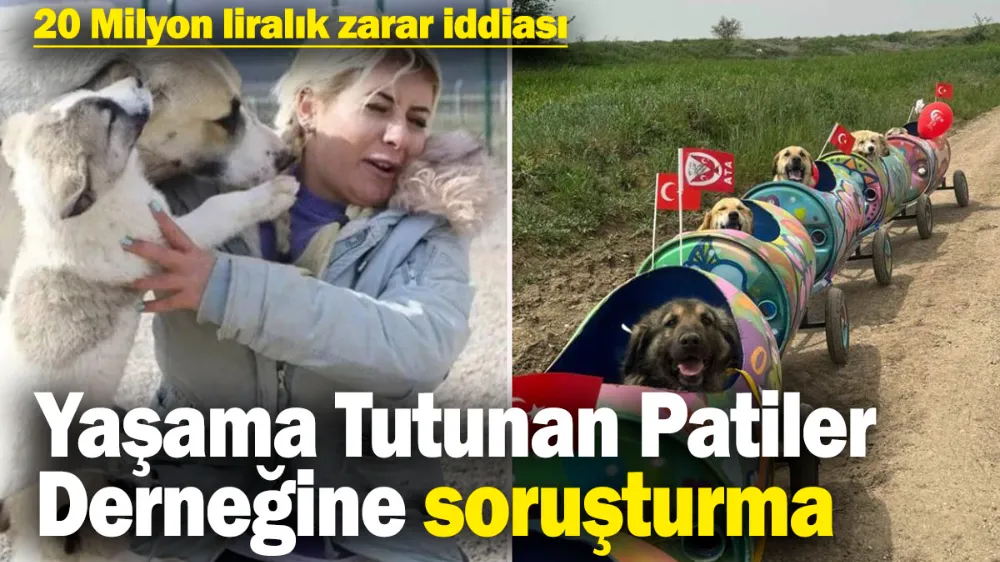 Yaşama Tutunan Patiler Derneğine soruşturma! 