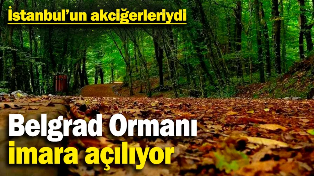 Belgrad Ormanı imara açılıyor! 