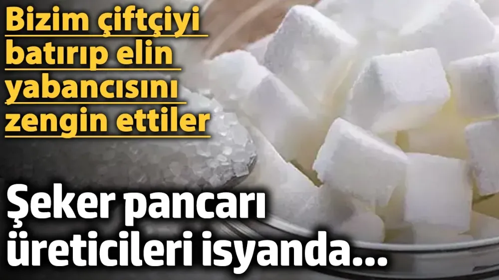 Şeker pancarı üreticileri isyanda... 