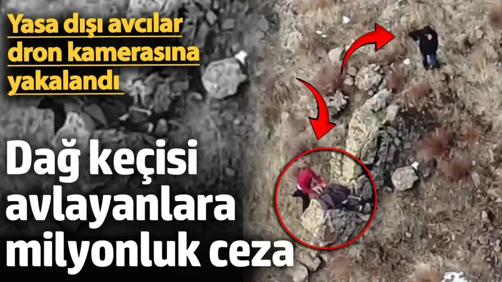 Yaban keçisi avlayanlara milyonluk ceza. 