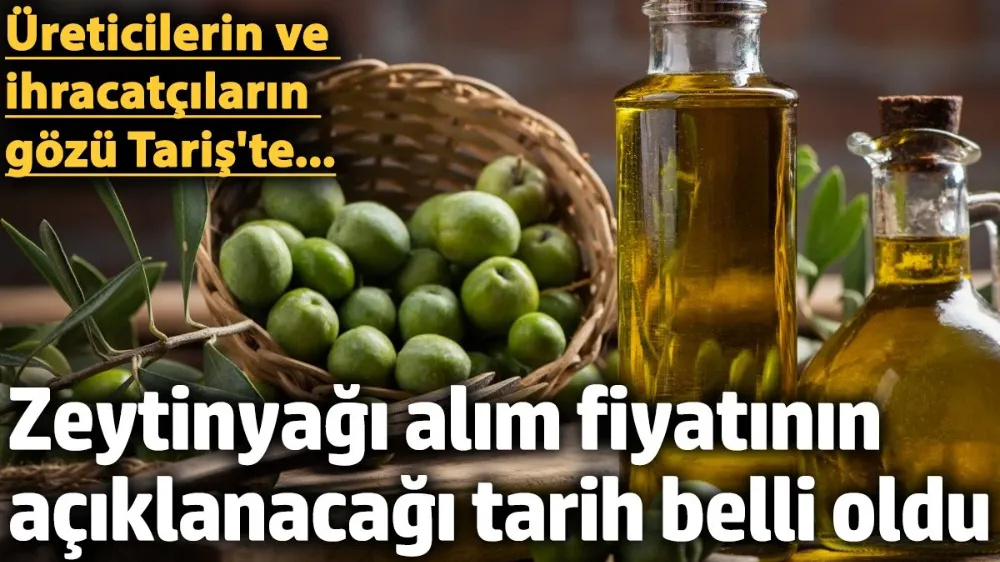 Zeytinyağı alım fiyatının açıklanacağı tarih belli oldu! 