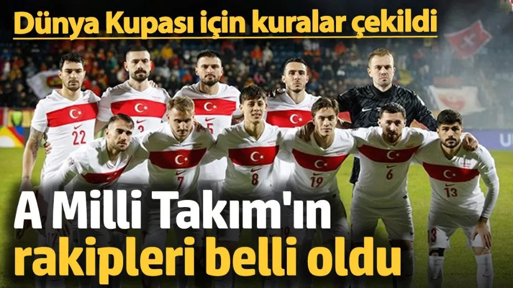 A Milli Takım