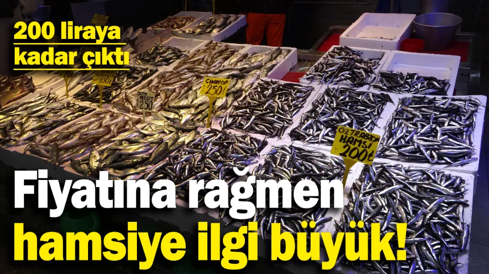 Kar suyuyla beslenen hamsiye fiyatına rağmen ilgi büyük!