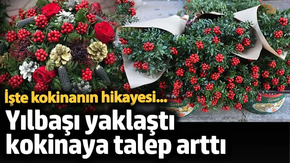 Yılbaşı yaklaştı kokinaya talep arttı 